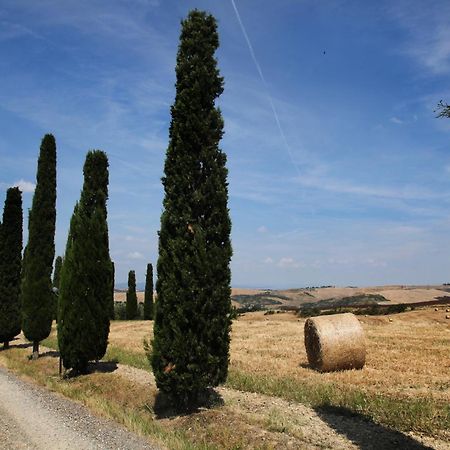 Agriturismo Bagnaia San Quirico dʼOrcia Dış mekan fotoğraf