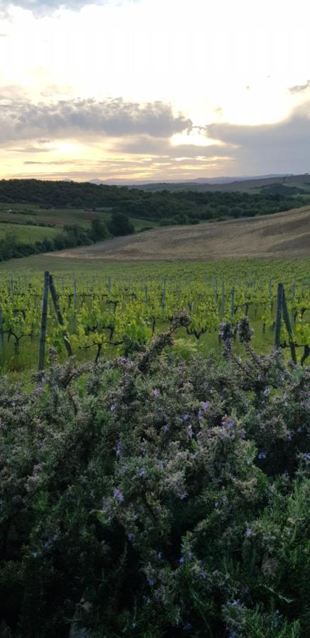 Agriturismo Bagnaia San Quirico dʼOrcia Dış mekan fotoğraf