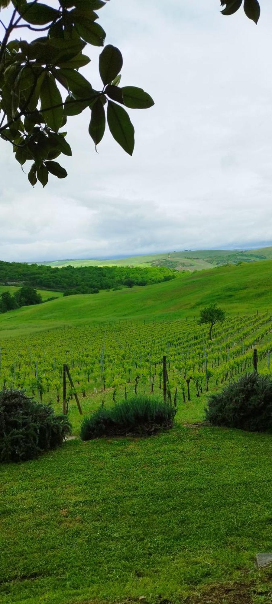 Agriturismo Bagnaia San Quirico dʼOrcia Dış mekan fotoğraf