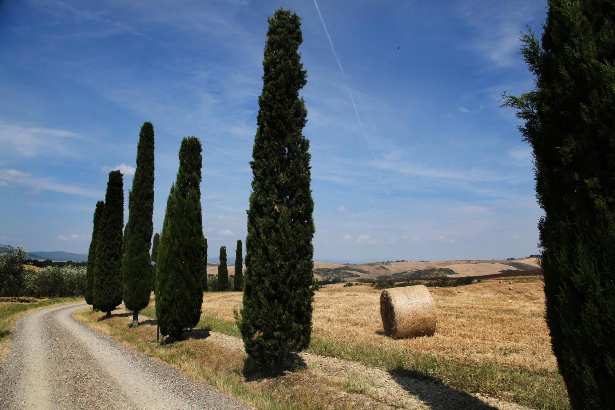 Agriturismo Bagnaia San Quirico dʼOrcia Dış mekan fotoğraf