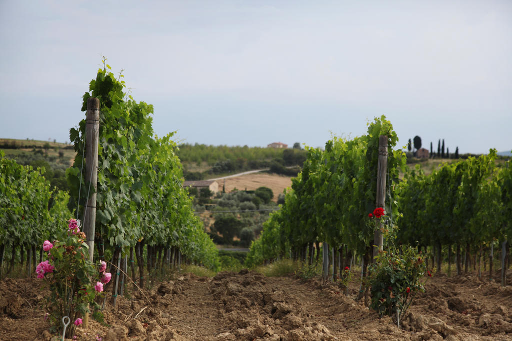 Agriturismo Bagnaia San Quirico dʼOrcia Dış mekan fotoğraf