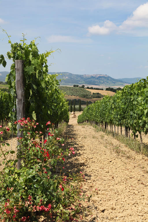 Agriturismo Bagnaia San Quirico dʼOrcia Dış mekan fotoğraf