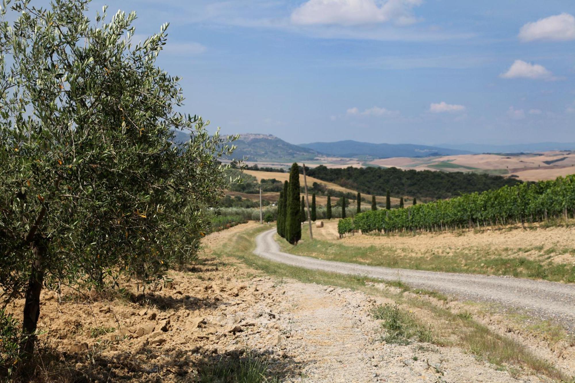 Agriturismo Bagnaia San Quirico dʼOrcia Dış mekan fotoğraf