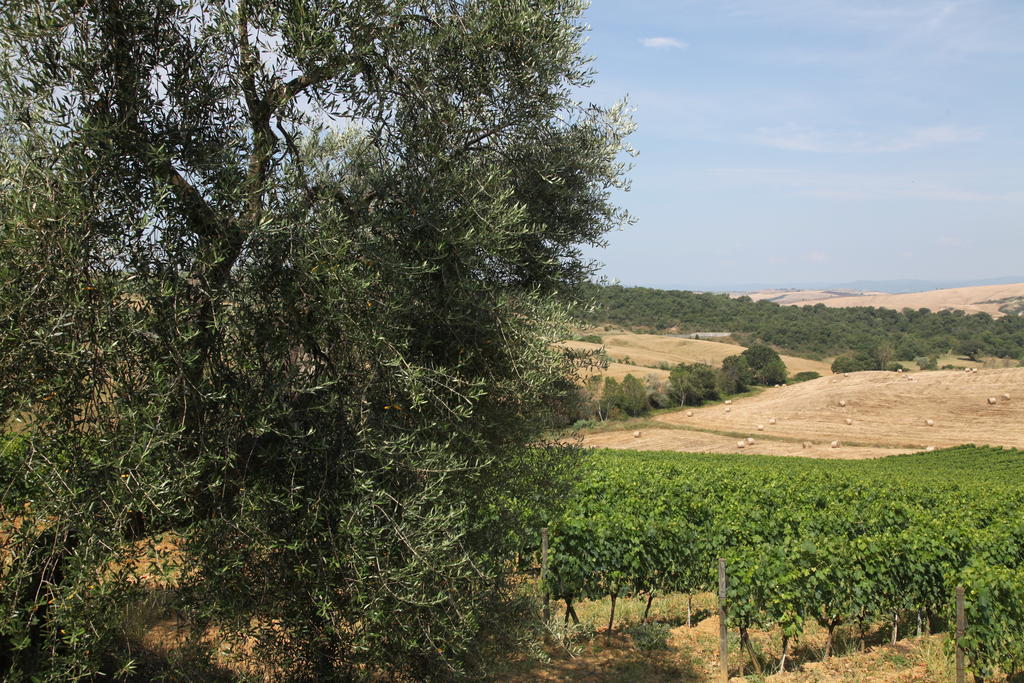 Agriturismo Bagnaia San Quirico dʼOrcia Dış mekan fotoğraf