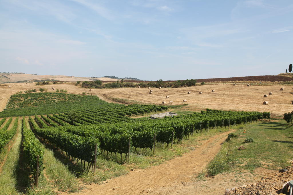Agriturismo Bagnaia San Quirico dʼOrcia Dış mekan fotoğraf