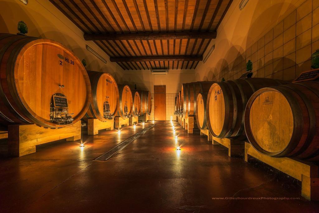 Agriturismo Bagnaia San Quirico dʼOrcia Dış mekan fotoğraf