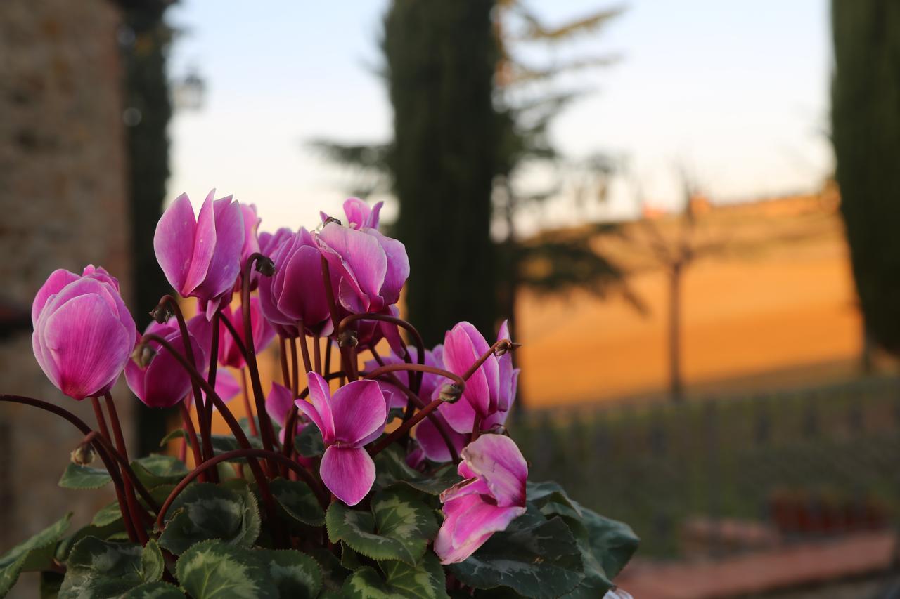 Agriturismo Bagnaia San Quirico dʼOrcia Dış mekan fotoğraf