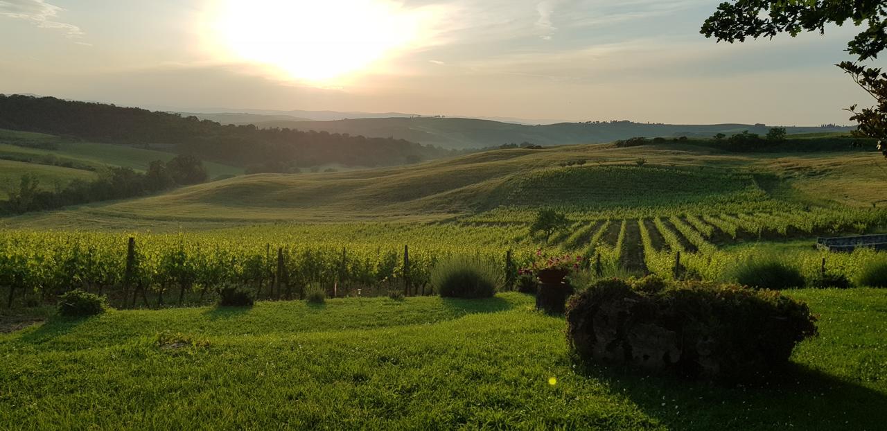 Agriturismo Bagnaia San Quirico dʼOrcia Dış mekan fotoğraf